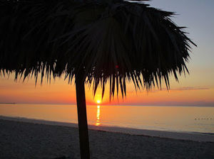 Meet your Posher, Melou